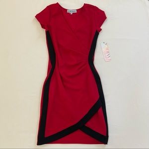 Mini Bodycon Dress